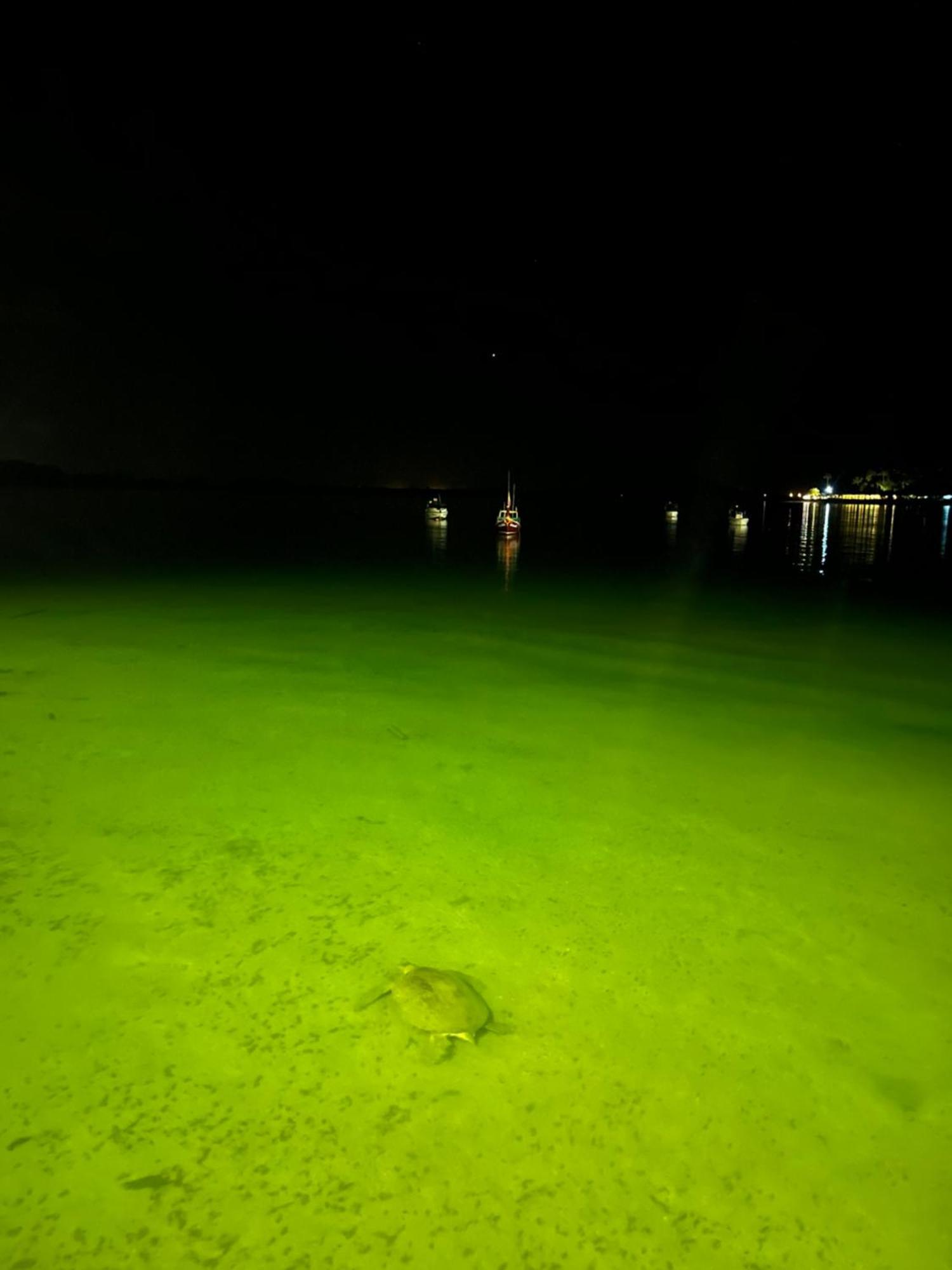 Koh Mook Garden Beach Resort Eksteriør bilde